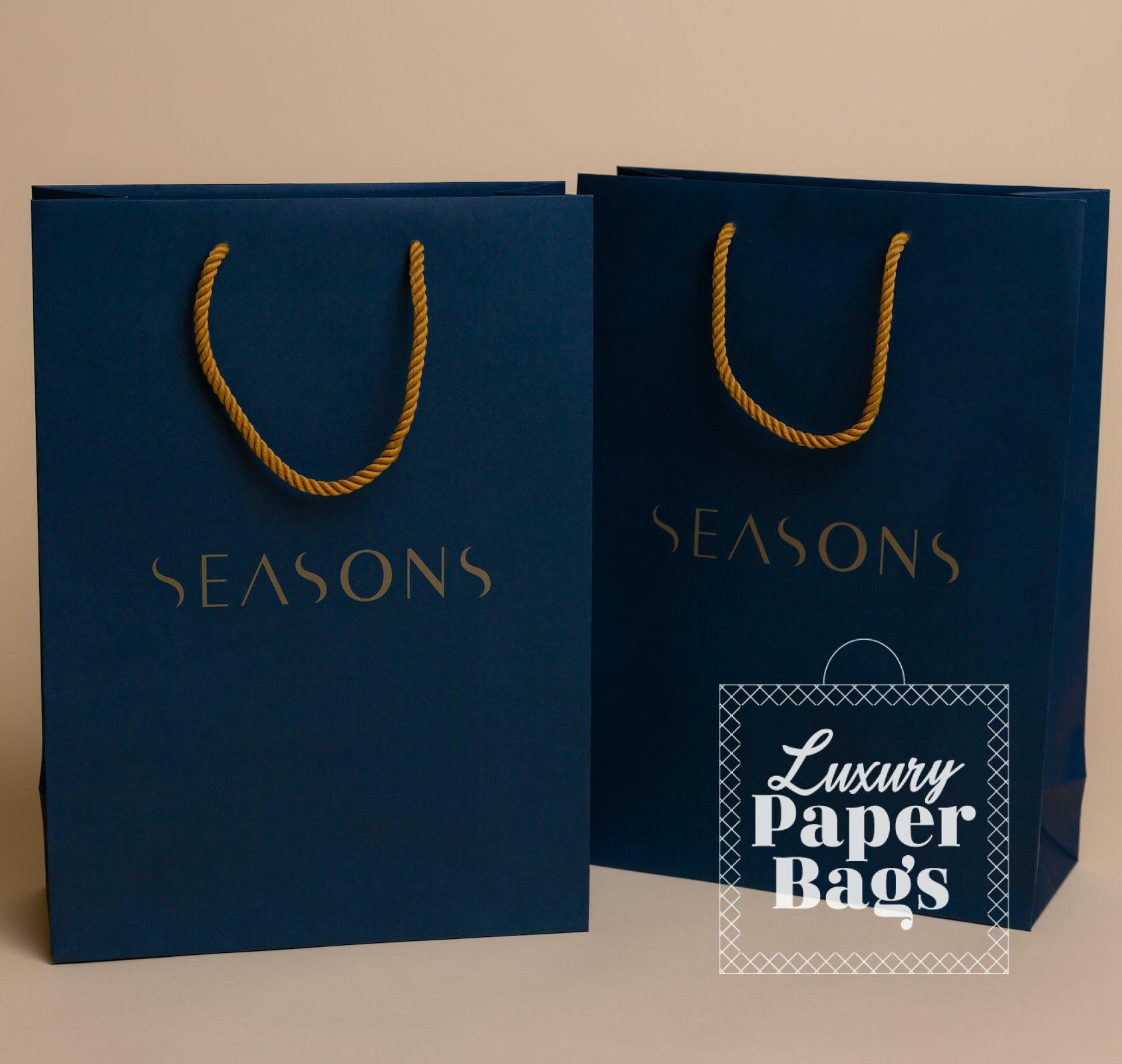 Kraft Paper Bags  Flat & Twisted Handle Paper Bags - ANS Plastics